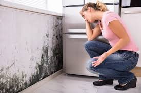 Best Forensic Mold Investigation  in Hopelawn, NJ